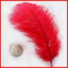 Red Ostrich Feather Drab