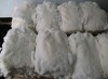 Rex Rabbit pelts