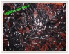 Ribbon Mesh Embroidery lace with Foil