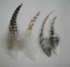 Rooster feather hairs extensions