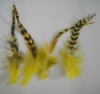 Rooster feather hairs extensions