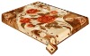 Ryan 2ply hot selling polyester mink blanket