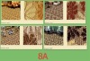 S-8A Tufted Broadloom Carpet