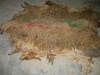 SHEEP SKIN