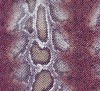 SNAKE SKIN PRINTED KNITTING FABRIC FOR GARMENT