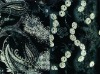 SPANDEX VELVET FABRIC LACQUER METALLIC FOIL PRINT (MADE IN KOREA)