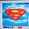 SUPERMAN LOGO printed plush