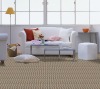 SYPH101 Quality Home Use Floor Carpets