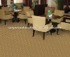 SYPW109 Beige Wall to Wall Carpet