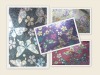 (SZ-X08802)butterfly sequin embroidery fabric