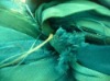 Sari Silk Ribbon in Solid Color