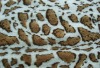Screen Printed Velboa Fabric/jcquard fabric