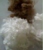 Sell Hollow Conjugate Polyester Staple Fiber