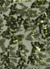 Sequin fabric embroidery on mesh for evening dress