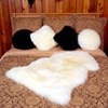 Sheep Fur Rugs