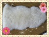 Shorn sheepskin rug--natural white