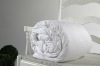 Silk Duvet