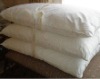 Silk Filled Pillow(TS-SP-01)