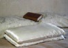 Silk Filled Pillow (TS-SP-02)