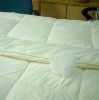 Silk Filled Quilt With Cotton Shell(TS-SQ-07)