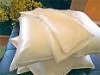 Silk Pillow