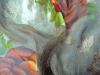 Silk printing fabric