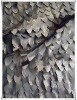 Silve Coated Taffeta Fabric