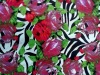 Single span FDY spandex knitted printed fabric 96%poly 4%spandex