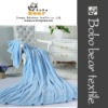 Skin touch promotional polyester blanket