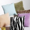 Sofa Pillow/Decorative Pillows -30*40cm