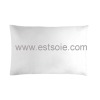 Soft and Elegance With Piping Silk Pillow/Silk Cushion