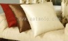 Soft and Luxury Squard 100% Mulberry Silk Pillow