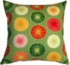 Solarium Beringer Spring Outdoor Pillow