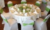 Spandex Chair Cover with apple green bands
