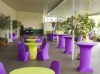 Spandex Chair Covers