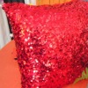 Sparkling red embroidered kids cushion