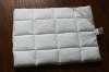 Square Box Quilted Pillow