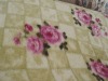 Stock 100% Polyester Printed Coral Velvet Blanket