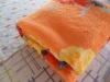 Stock Coral Velvet Blanket 100% Polyester Printed