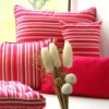 Stripe printed cushion