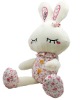 Stuffed Plush Rabbit