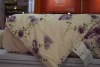 Supply Silk Quilt,100%Mulberry Silk