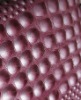 Synthetic Leather for Bag