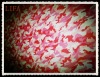 T/C Uniform Fabric 110*76
