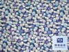T/C print poplin fabric