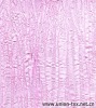 TC Piece Dyed Embroidery CrinkleFabric