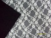 TL191 nylon lace fabric