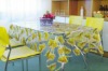 TRANSPARENT PVC PRINTED TABLE CLOTH