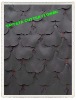 Taffeta Applique Motif flower Embroidery on mesh