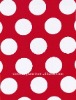 Tencel  strech knitted  fabric